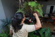 É hora de agir: MS tem Dia D contra o mosquito da dengue nesta semana