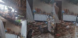 Casa é destruída por árvore no bairro Jardim das Mansões: “Perdemos tudo!” diz morador