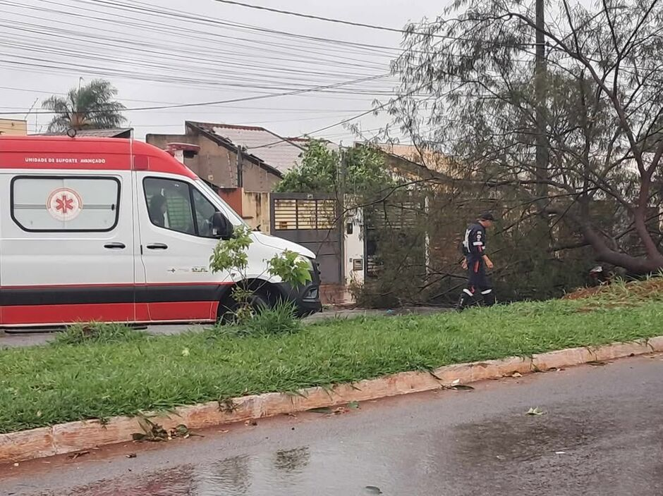 Temporal destelhou casas e derrubou dezenas de árvores em diferentes regiões da Capital Temporal destelhou casas e derrubou dezenas de árvores em diferentes regiões da Capital