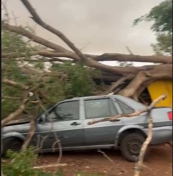 Temporal destelhou casas e derrubou dezenas de árvores em diferentes regiões da Capital Temporal destelhou casas e derrubou dezenas de árvores em diferentes regiões da Capital