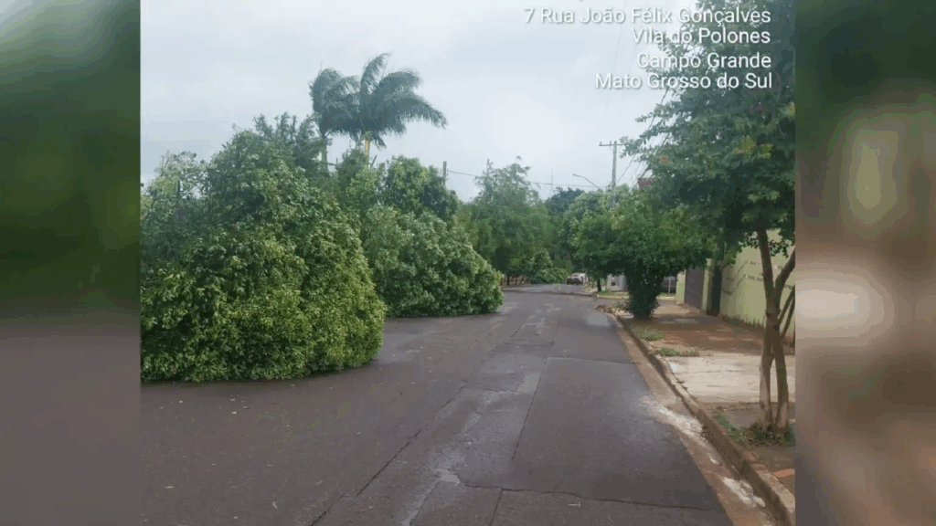 Temporal destelhou casas e derrubou dezenas de árvores em diferentes regiões da Capital Temporal destelhou casas e derrubou dezenas de árvores em diferentes regiões da Capital