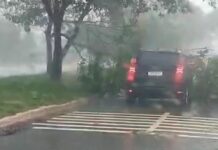 Inmet coloca Campo Grande e mais 56 cidades de MS em alerta para novo temporal com ventos de 100 km/h