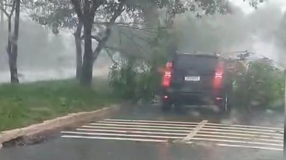 Temporal destelhou casas e derrubou dezenas de árvores em diferentes regiões da Capital Temporal destelhou casas e derrubou dezenas de árvores em diferentes regiões da Capital