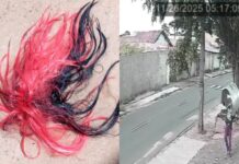 Vídeo: ladrão invade pátio de empresa na Capital e furta assoalho de Kombi