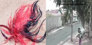 Vídeo: ladrão invade pátio de empresa na Capital e furta assoalho de Kombi