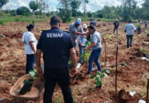 Prefeitura transforma o campo, fortalece feiras e impulsiona a agricultura familiar em 11 meses