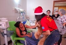 Cães Bombeiros emocionam pacientes em visita especial de fim de ano ao Humap-UFMS