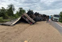 Carreta tomba na BR-163 e deixa carga de grãos de café esparramada na pista