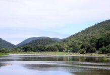 Aprovada a criação da MS Ativos Ambientais, empresa que passa a gerir o patrimônio natural do Estado