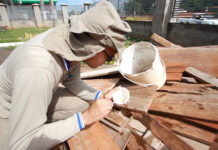 Dengue cai 63% em Campo Grande com avanço do Wolbachia