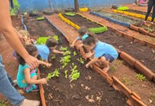 FAC Sustentável leva educação ambiental e hortas a escolas de Campo Grande