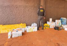 Quase 1 mil celulares, medicamentos e MacBook são apreendidos na BR-262