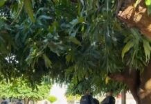 Foragido da Justiça é baleado em confronto com o Choque no bairro Aero Rancho