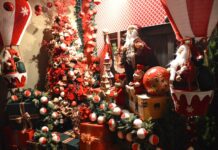 Campo Grande acende luzes e abre Natal dos Sonhos com praça lotada