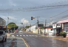 Chuva chega à Capital e provoca quedas de árvores e falta de energia