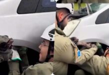 Vídeo: presa no amortecedor de carro no Parque dos Poderes, cobra dá trabalho para PMA