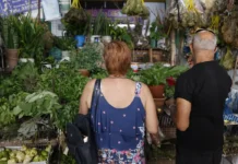 Tradição e fé impulsionam busca por banhos e ervas no fim de ano