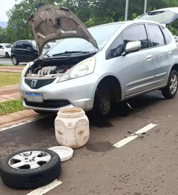 Vídeo: presa no amortecedor de carro no Parque dos Poderes, cobra dá trabalho para PMA Vídeo: presa no amortecedor de carro no Parque dos Poderes, cobra dá trabalho para PMA