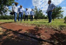 Governo avança em capacitações do MS Irriga e destaca potencial para irrigar 4 milhões de hectares