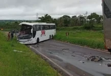 Ônibus não conseguiu desviar de carreta que parou para acessar rotatória na BR-262
