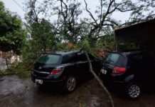 Temporal em Dourados derruba árvores e destelha casas