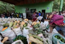 Prefeitura de Dourados entrega mais 5 toneladas de alimentos às famílias da Reserva Indígena