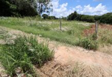Prefeitura de Dourados começa a autuar proprietários de terrenos com mato e sujeira no dia 5