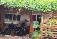 Tomado por planta, teto de casa não suporta o peso e desmorona no bairro Oliveira