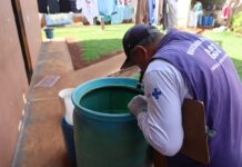 Dourados cria plataforma ArboNotifica para monitorar arboviroses