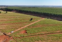 Campo Grande sedia encontro estratégico de logística florestal