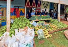 Dourados inicia ano com quase 10 toneladas de alimentos do PAA Indígena distribuídos