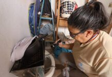 Em menos de um mês, MS registra 577 casos prováveis de dengue e 666 de chikungunya