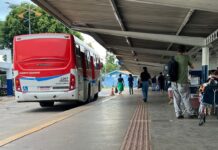 Ônibus de Campo Grande terão esquema especial durante o Carnaval