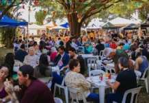 Do artesanato ao karaokê: veja o que fazer no domingo em Campo Grande