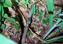 Policial militar de folga impede tentativa de estupro na Avenida Rita Vieira