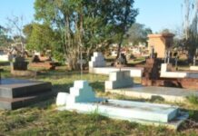 Famílias têm 30 dias para evitar exumação em jazigos do Cemitério Santo Amaro