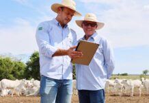 Pecuária inteligente: Senar/MS acelera avanço tecnológico em propriedade rural