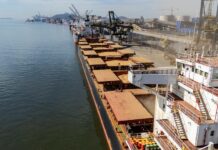 Mato Grosso do Sul é o 5º maior exportador de soja e milho do país