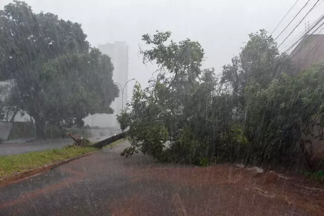 Chuva castiga Campo Grande derrubando árvores, arrancando asfalto e transbordando córrego