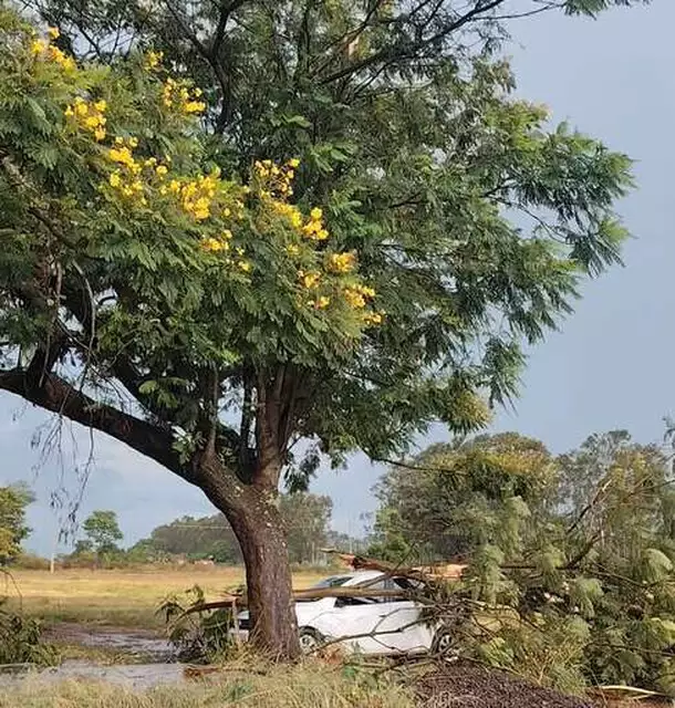 Vídeo: Batayporã é castigada por forte temporal; casas foram destelhadas
