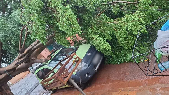 Capital tem mais um dia de chuva, alagamentos, queda de árvore e nuvem funil