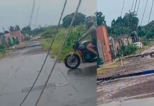 Chuvão de verão derrubou árvores e postes na Capital e ainda provocou mais de 450 raios