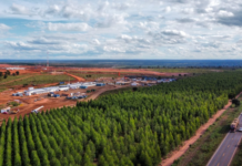 Parceria do TJMS com multinacional fortalece proteção a mulheres e crianças em Inocência