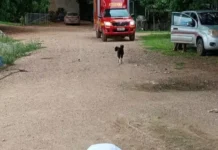 Homem morre eletrocutado enquanto ligava bomba d’água no Rio Miranda