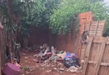 Mulher é presa por largar os filhos de 6, 5 e 3 anos com a avó para curtir o carnaval