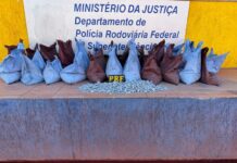 Mais de 600 kg de antimônio são apreendidos pela PRF em van na BR-262