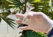 Boletim Epidemiológico: MS registra 107 casos confirmados de dengue