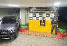 Vídeo: com selo do “El Chapo”, mais 1,2 tonelada de maconha é apreendida pelo DOF