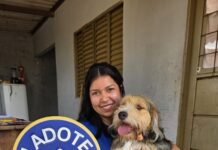 PrefCG realiza ação de adoção com cães resgatados de maus-tratos