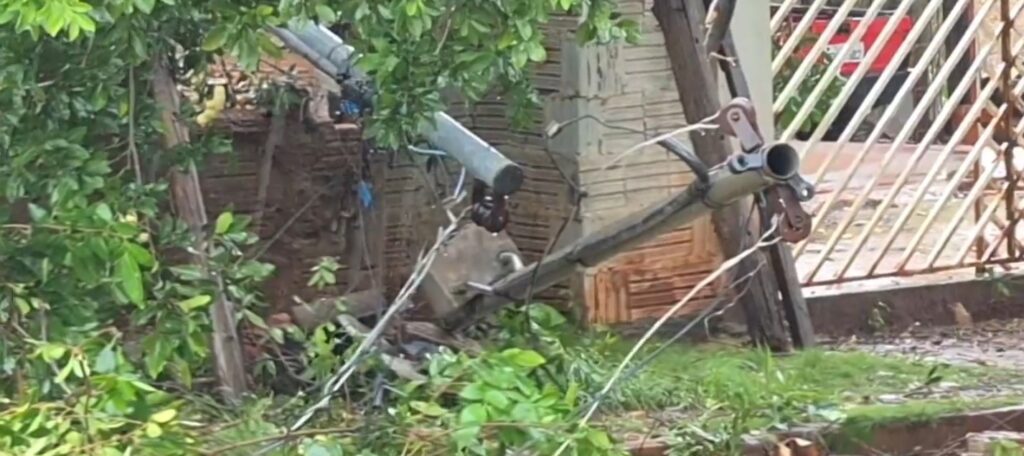Bairro Jardim das Cerejeiras segue aguardando remoção de árvore gigante que caiu